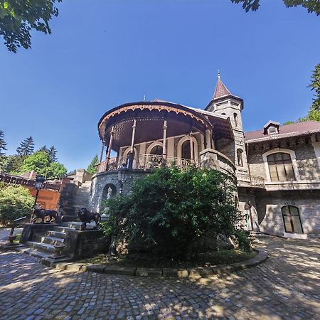 Hotel Castelul Stirbey Sinaia Zewnętrze zdjęcie