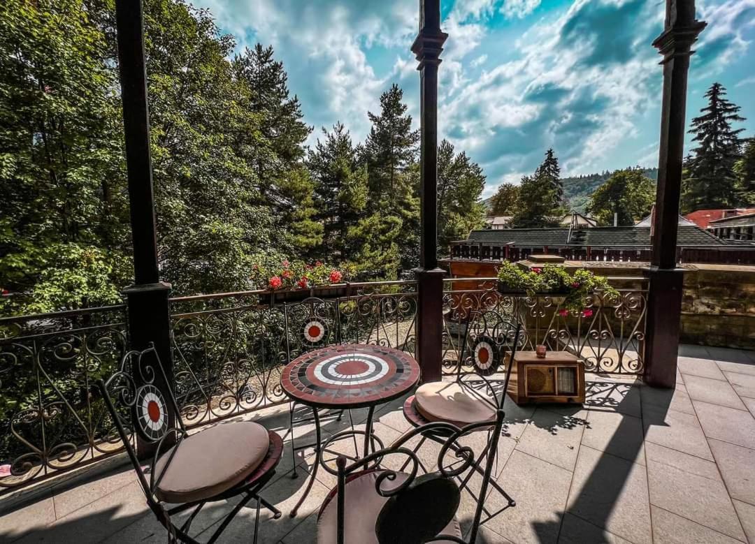 Hotel Castelul Stirbey Sinaia Zewnętrze zdjęcie