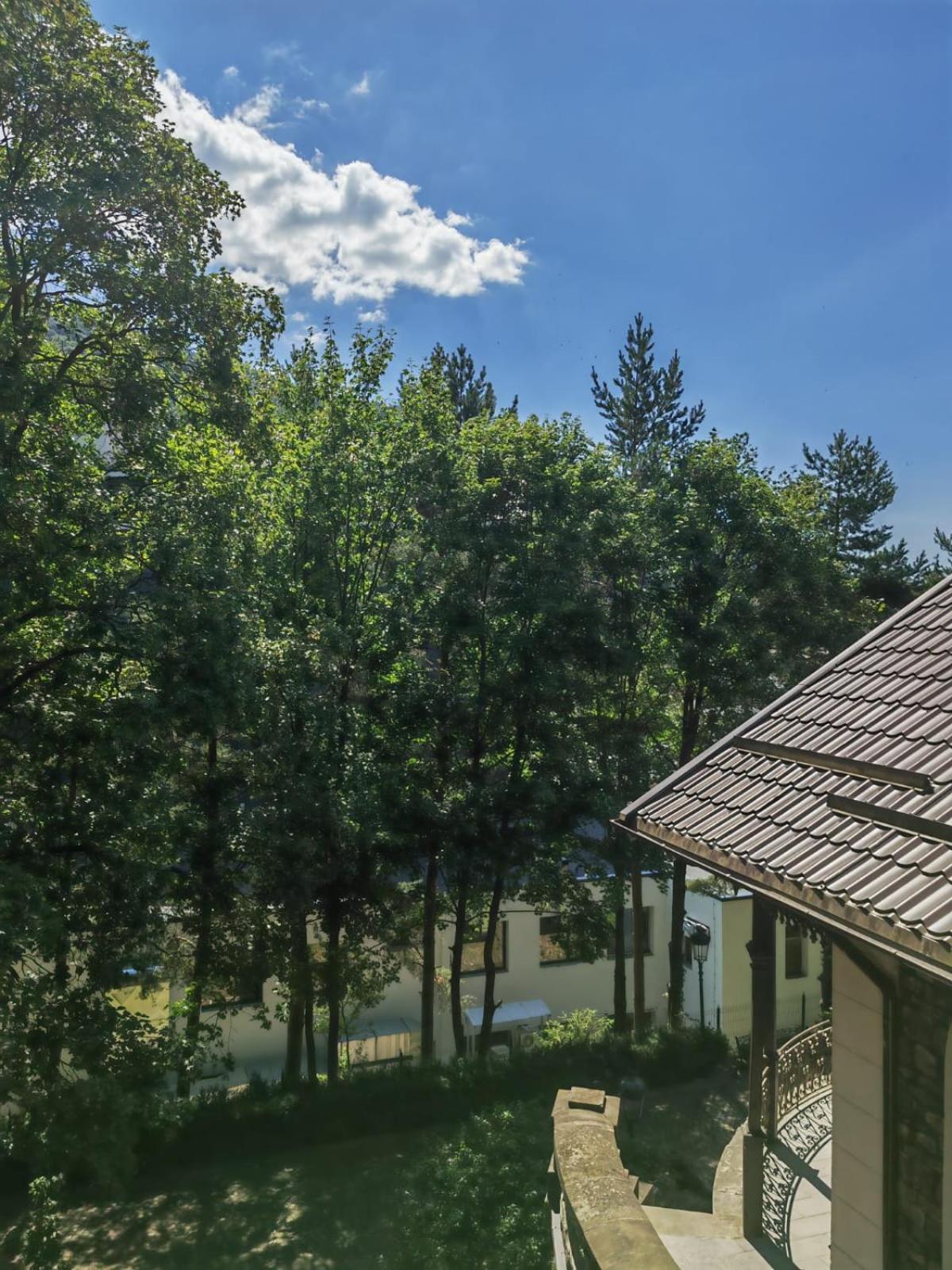 Hotel Castelul Stirbey Sinaia Zewnętrze zdjęcie