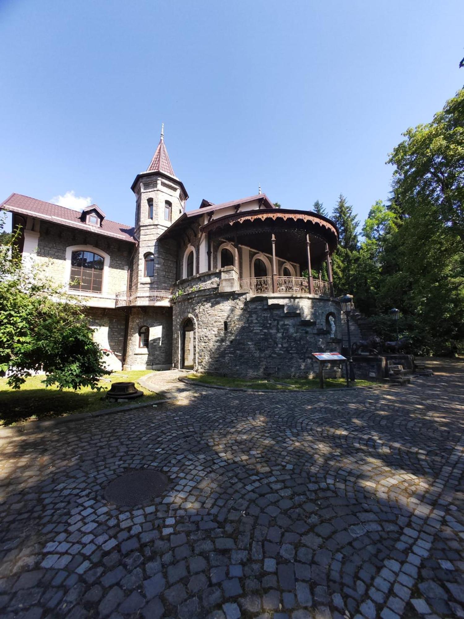 Hotel Castelul Stirbey Sinaia Zewnętrze zdjęcie