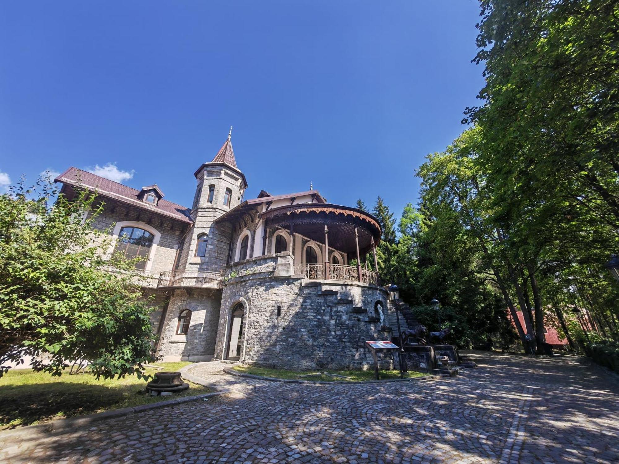 Hotel Castelul Stirbey Sinaia Zewnętrze zdjęcie