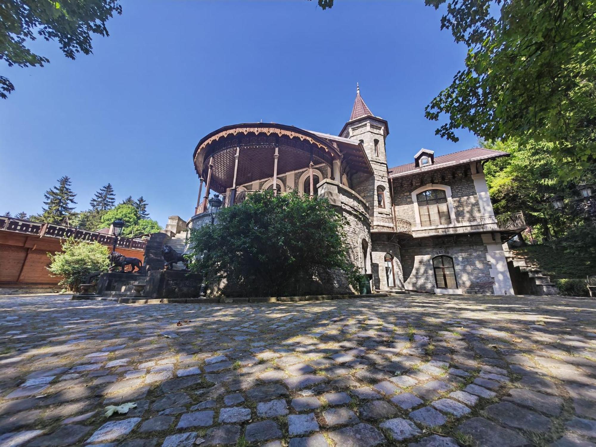 Hotel Castelul Stirbey Sinaia Zewnętrze zdjęcie