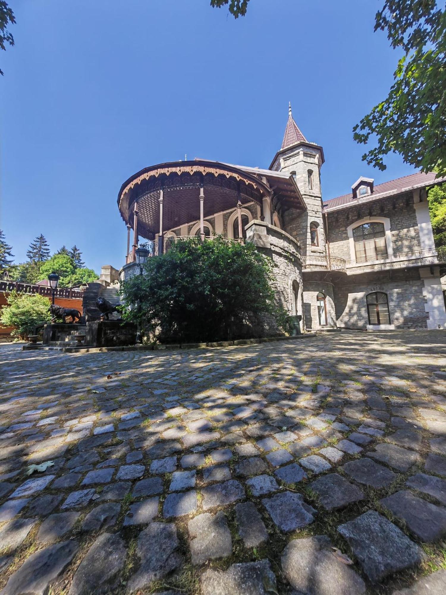 Hotel Castelul Stirbey Sinaia Zewnętrze zdjęcie