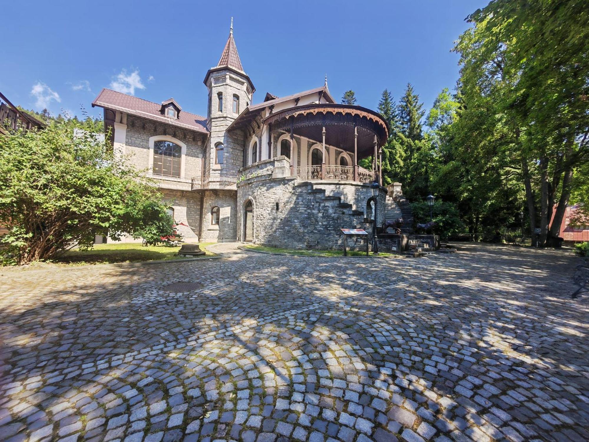 Hotel Castelul Stirbey Sinaia Zewnętrze zdjęcie