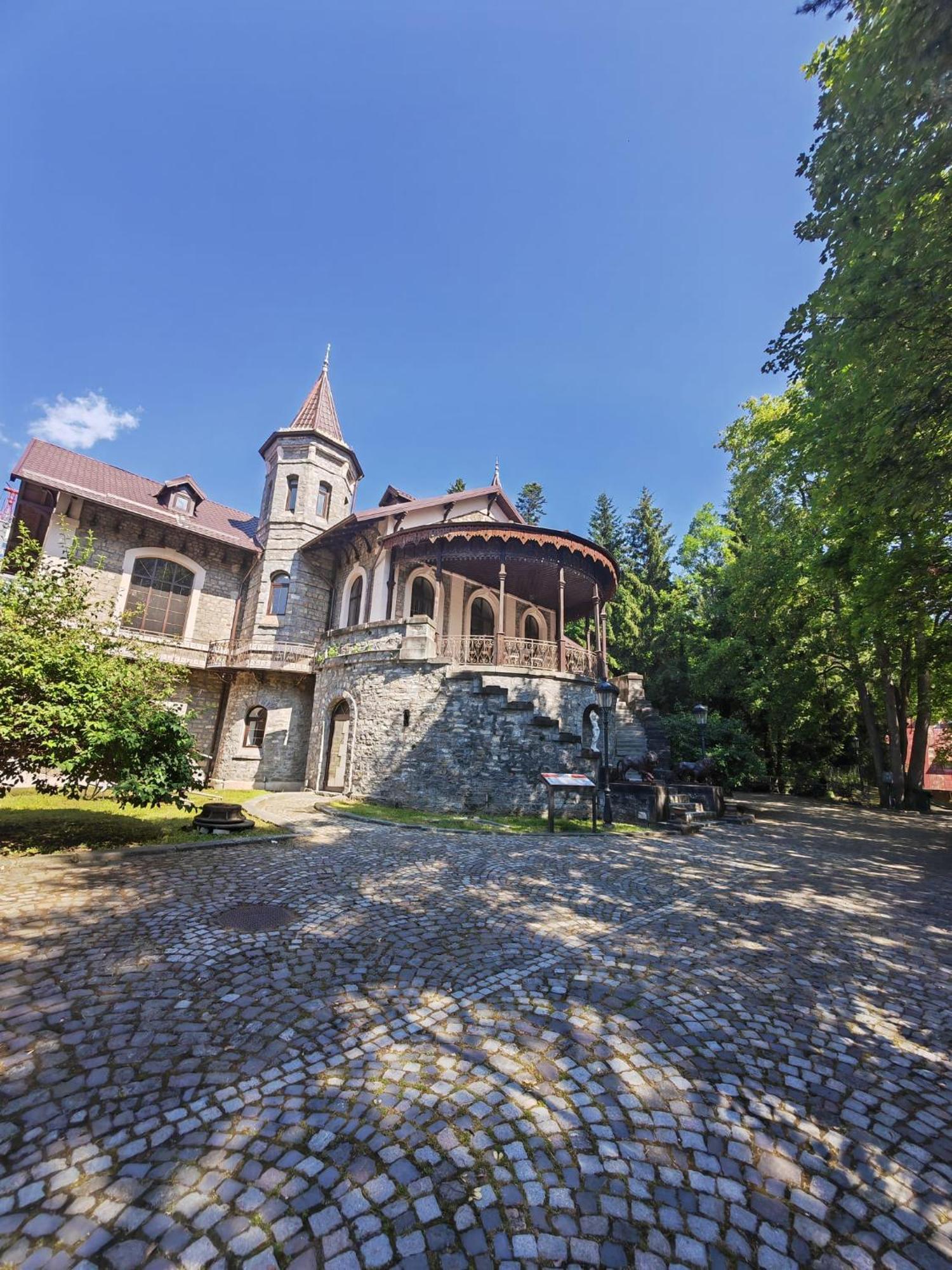 Hotel Castelul Stirbey Sinaia Zewnętrze zdjęcie