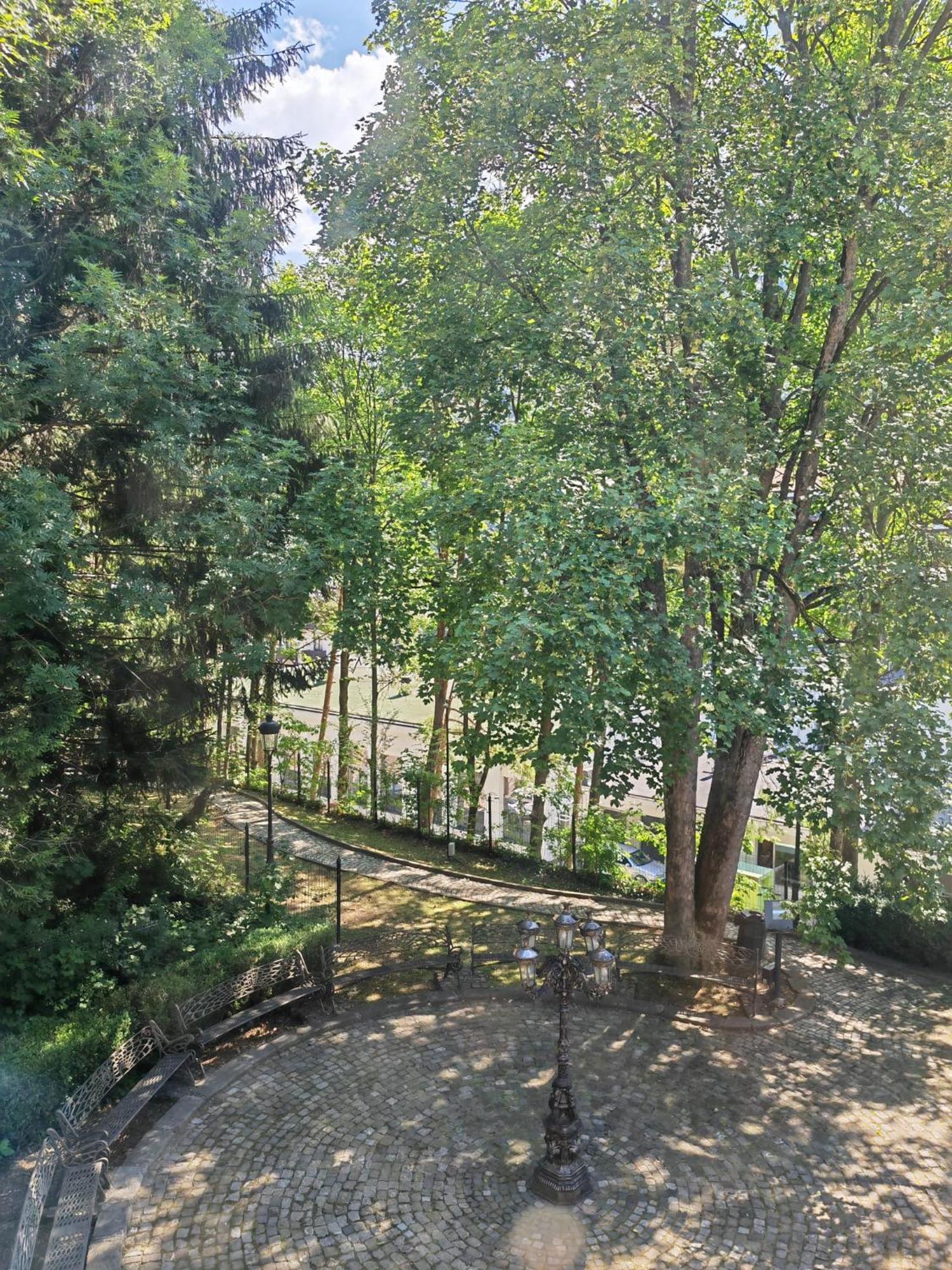 Hotel Castelul Stirbey Sinaia Zewnętrze zdjęcie